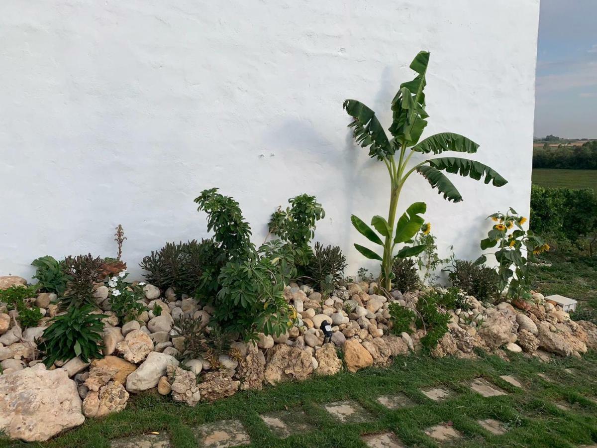 El Lagar De Los Abuelos Arcos de la Frontera Exterior foto
